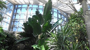 20190117104336(1)