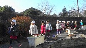 20190117104659(1)