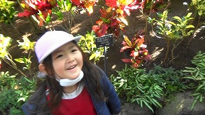 20190117104936(4)