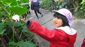 20190117105329(2)