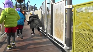 20190117111914(1)