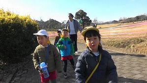 20190117114730(1)