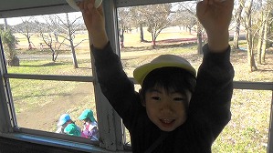 20190117115333(5)