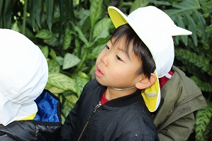 IMG_4368