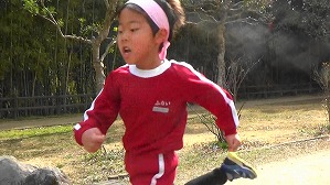 20190207115429(12)