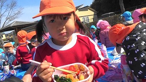 20190218113337(1)