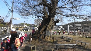 20190221110201(1)