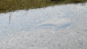 20190221111854(1)