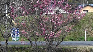 20190221121510(1)