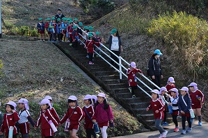 IMG_7605