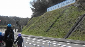 20190305111534(1)
