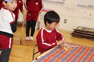 IMG_8211