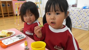 20190423115255(2)