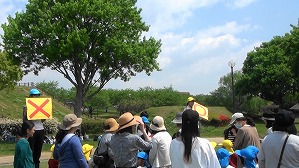 20190425230219(2)