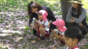 20190426112319(1)