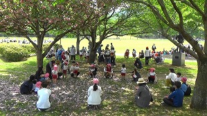 20190426112358(2)