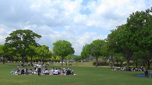 20190426113123(1)