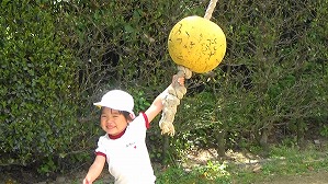 20190426122935(3)