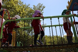 IMG_8588