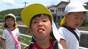 20190517113536(1)