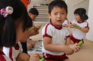 IMG_8790