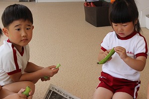 IMG_8797