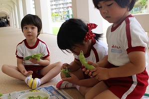 IMG_8805