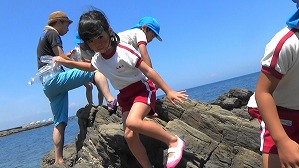 20190613111349(5)