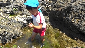 20190613111359(2)