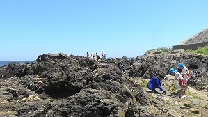 20190613112057(1)