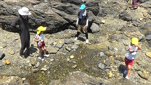 20190613112936(2)