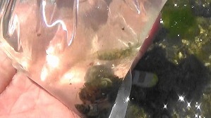 20190613113337(1)