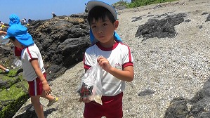 20190613113457(1)
