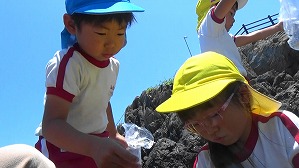 20190613114543(2)