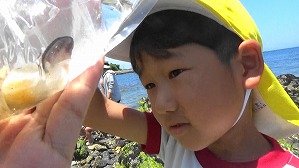 20190613114947(2)