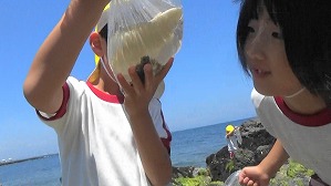 20190613115017(2)