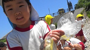 20190613115613(2)