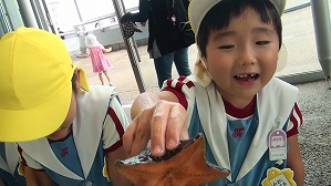 20190703223206(2)