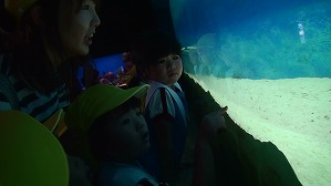 20190703231917(6)