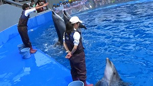 20190704105936(1)