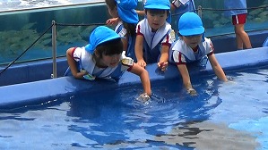 20190704111047(3)