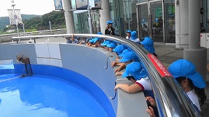 20190704111715(1)