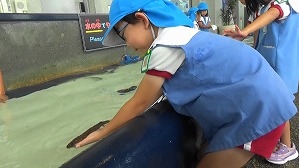 20190704112649(2)