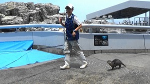 20190704125919(1)