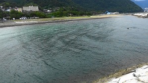 20190924105945(2)