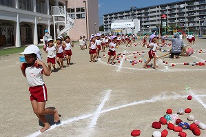 IMG_0348