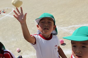 IMG_0361