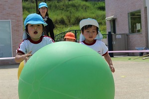 IMG_0545