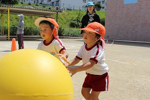IMG_0556