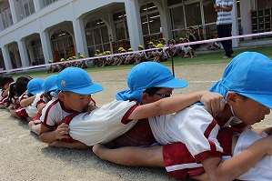 IMG_0814